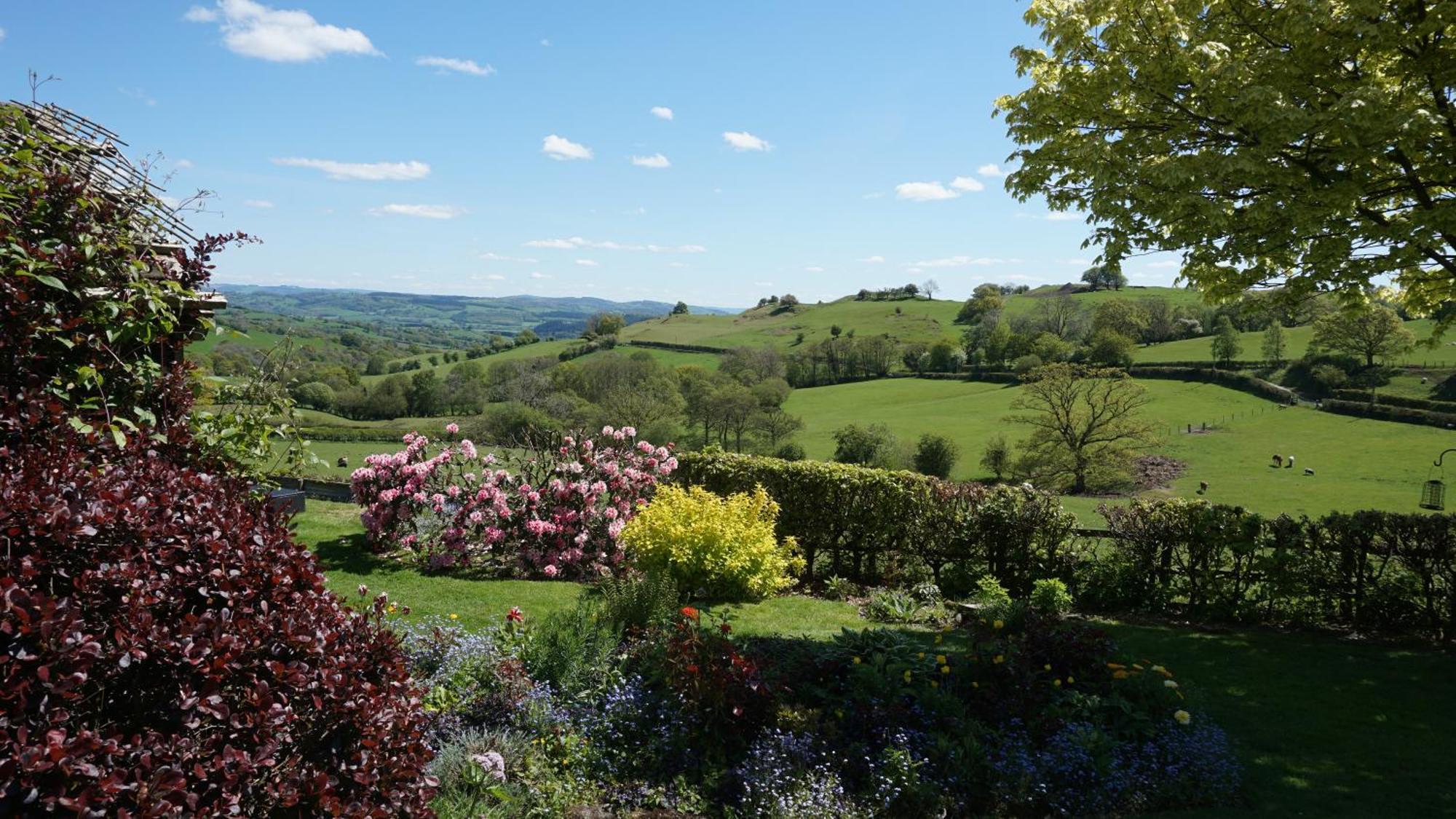 Sheep Dip Cottage - 5* Cyfie Farm, With Log Burner And Private Hot Tub Llanfyllin Esterno foto